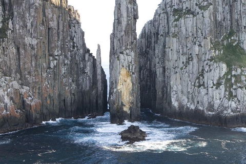 Tasman Island Cruises And Port Arthur Historic Site Day Tour From Hobart - Food Delivery Shop 2