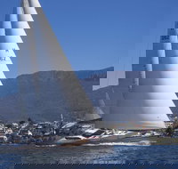 Half-Day Sailing on the Derwent River from Hobart - Pet Food Australia