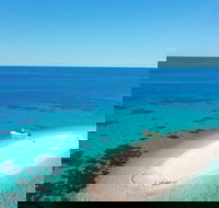 Ocean Safari Great Barrier Reef Experience in Cape Tribulation - Pet Food Australia