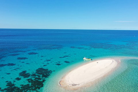 Ocean Safari Great Barrier Reef Experience In Cape Tribulation - Food Delivery Shop 0