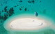 Ocean Safari Great Barrier Reef Experience In Cape Tribulation - thumb 3