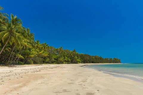 Ocean Safari Great Barrier Reef Experience In Cape Tribulation - Food Delivery Shop 4