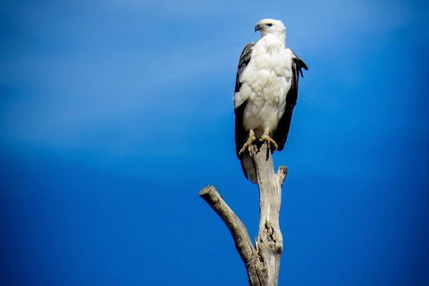 Kangaroo Island 75-Minute Ocean Safari - Pet Food Australia 0