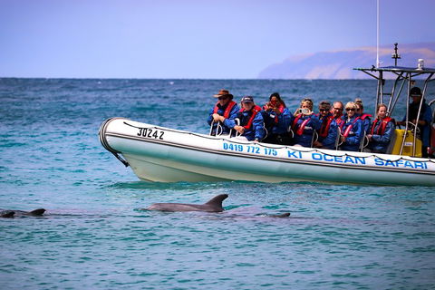 Kangaroo Island 75-Minute Ocean Safari - Pet Food Australia 4