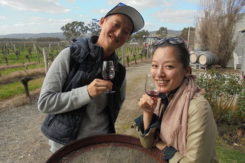 Swan Valley River Cruise And Wine Tasting Day Trip From Perth - Pet Food Australia 0