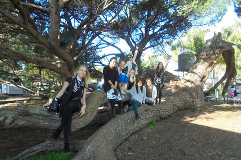 1/2 Day Swan Valley Wine Cheese & Chocolate Tour Inc Afternoon Cruise To Perth - Pet Food Australia 0