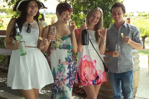 1/2 Day Swan Valley Wine Cheese & Chocolate Tour Inc Afternoon Cruise To Perth - Pet Food Australia 4