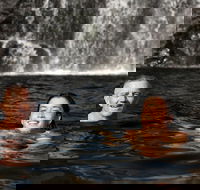 3 Day 4WD Dragonfly Dreaming Top End Safari - Pet Food Australia