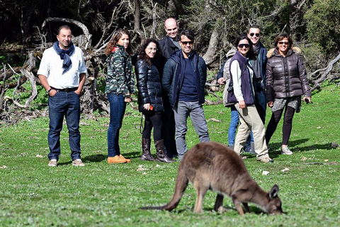 2-Day Kangaroo Island 4WD Small-Group Tour From Adelaide - Food Delivery Shop 1