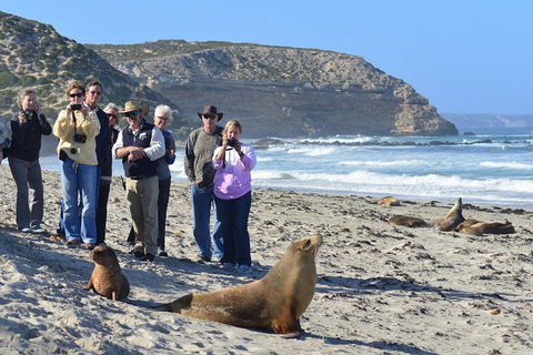 2-Day Kangaroo Island 4WD Small-Group Tour From Adelaide - Food Delivery Shop 3