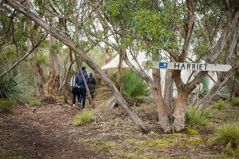 2-Day Kangaroo Island 4WD Small-Group Tour From Adelaide - Food Delivery Shop 5