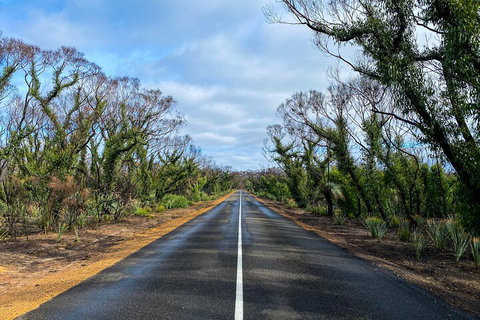 2 Day Ultimate Kangaroo Island With Return Ferry - Food Delivery Shop 4