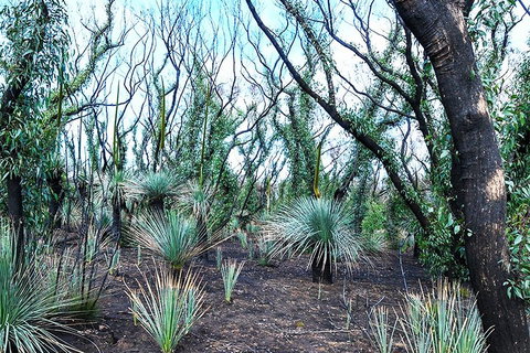 NEW TOUR - Kangaroo Island Road To Recovery Tour (1 Day/1 Night) - Food Delivery Shop 3