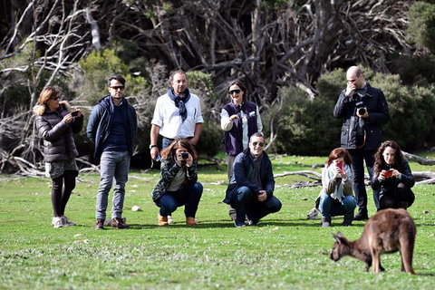 Small-Group Kangaroo Island 4WD Tour From Adelaide - Food Delivery Shop 2