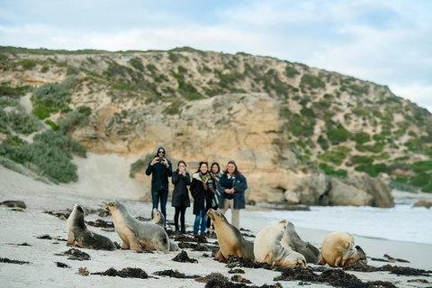 Small-Group Kangaroo Island 4WD Tour From Adelaide - Food Delivery Shop 4