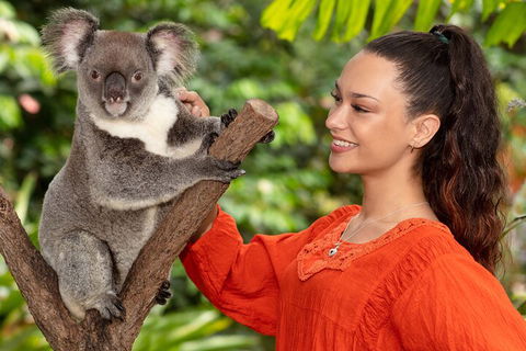 Kuranda Wildlife Experience Three Attraction Pass - Food Delivery Shop 4