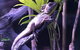 Cairns Aquarium Admission Ticket - thumb 0