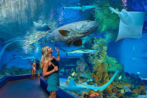 Cairns Aquarium Admission Ticket - Food Delivery Shop 3