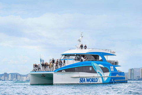 Whale Watching By Sea World Cruises - Pet Food Australia 3
