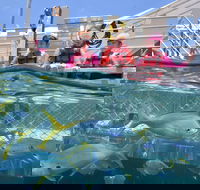 Outer Reef Pontoon Experience from Cairns - Food Delivery Shop