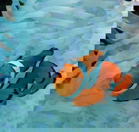 Seastar Luxury Outer Great Barrier Reef Island and Reef Tour from Cairns - Food Delivery Shop