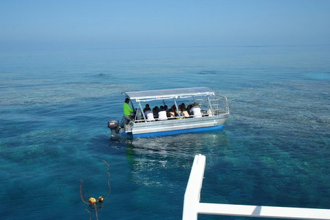 Seastar Luxury Outer Great Barrier Reef Island And Reef Tour From Cairns - Pet Food Australia 5