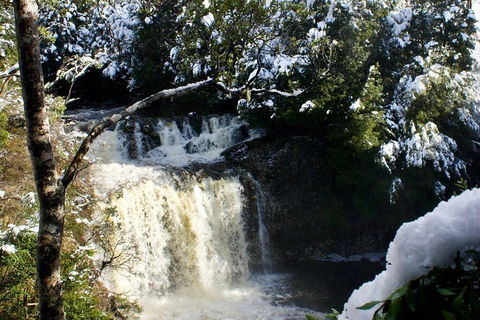 Cradle Mountain Park Explorer Guided Tour - Pet Food Australia 4