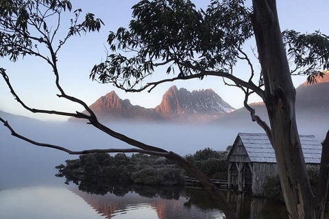 Cradle Mountain Park Explorer Guided Tour - Pet Food Australia 5
