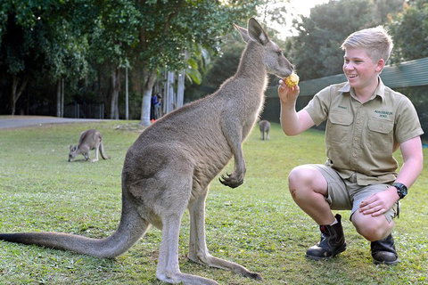 Small-Group Australia Zoo Day Trip From Brisbane - Pet Food Australia 4