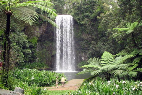 Private Daintree And Cape Tribulation Tour From Port Douglas - Food Delivery Shop 0