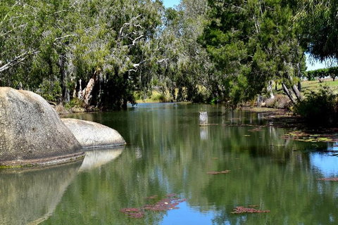 Private Daintree And Cape Tribulation Tour From Port Douglas - Food Delivery Shop 3