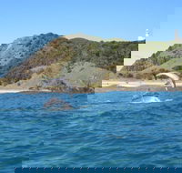 Kayaking with Dolphins in Byron Bay Guided Tour - Pet Food Australia