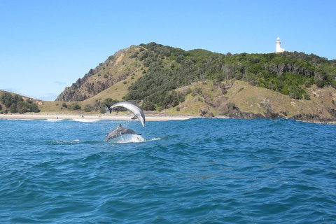 Kayaking With Dolphins In Byron Bay Guided Tour - Food Delivery Shop 0