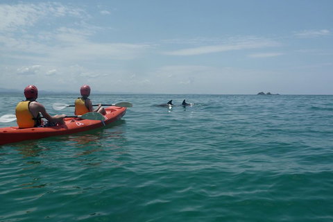 Kayaking With Dolphins In Byron Bay Guided Tour - Food Delivery Shop 4