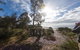 Bruny Island Day Tour, Includes Lunch And Exclusive Lighthouse Tour - thumb 5