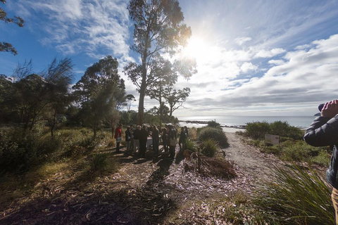 Bruny Island Day Tour, Includes Lunch And Exclusive Lighthouse Tour - Food Delivery Shop 5
