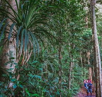 Atherton Tablelands Rain Forest by Night from Cairns - Food Delivery Shop