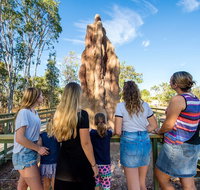 Litchfield National Park Waterfalls and Wildlife Tour from Darwin - Food Delivery Shop