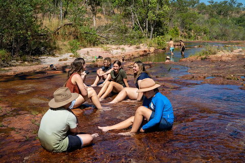 Litchfield National Park Waterfalls And Wildlife Tour From Darwin - Pet Food Australia 1
