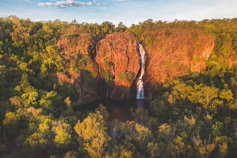 Litchfield National Park Waterfalls And Wildlife Tour From Darwin - Pet Food Australia 2