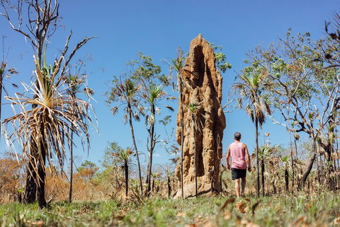 Litchfield National Park Waterfalls And Wildlife Tour From Darwin - Pet Food Australia 4