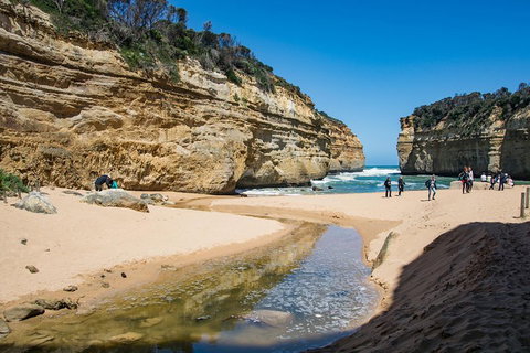 Great Ocean Road Reverse Itinerary With 12 Apostles From Melbourne - Food Delivery Shop 2