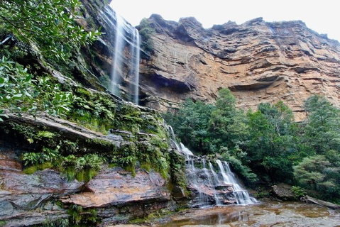 Blue Mountains Sunset Tour | Kangaroos & Koala Encounter (Private Tour) - Food Delivery Shop 2