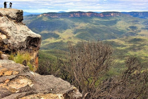 Blue Mountains Sunset Tour | Kangaroos & Koala Encounter (Private Tour) - Food Delivery Shop 4