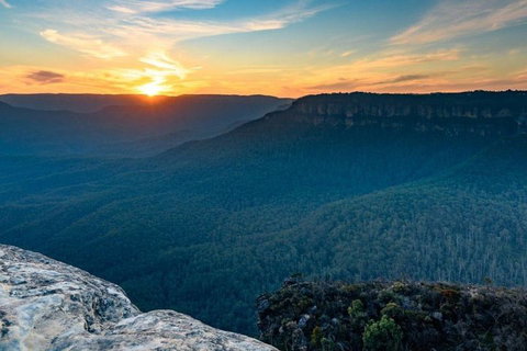Blue Mountains Sunset Tour | Kangaroos & Koala Encounter (Private Tour) - Food Delivery Shop 5