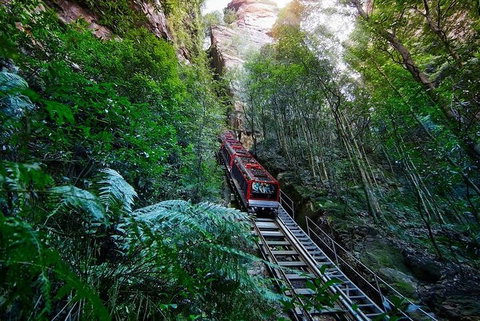 Blue Mountains Private Tour With Kangaroos & Koala Encounter - Food Delivery Shop 1