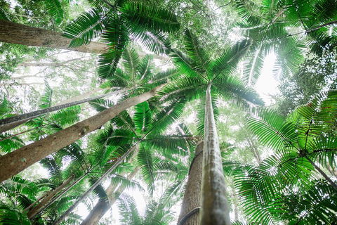 Fraser Explorer K'gari 2-Day Tour - Pet Food Australia 2