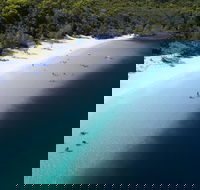 All-Inclusive Fraser Island Day Tour - Pet Food Australia