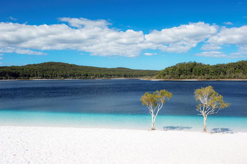 All-Inclusive Fraser Island Day Tour - Pet Food Australia 3