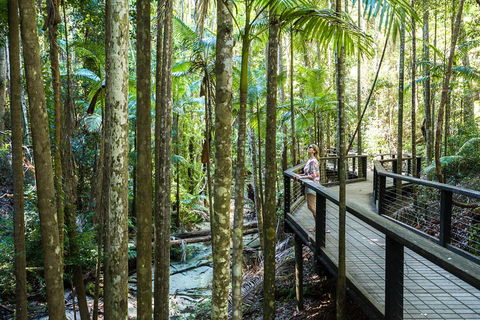 All-Inclusive Fraser Island Day Tour - Pet Food Australia 5